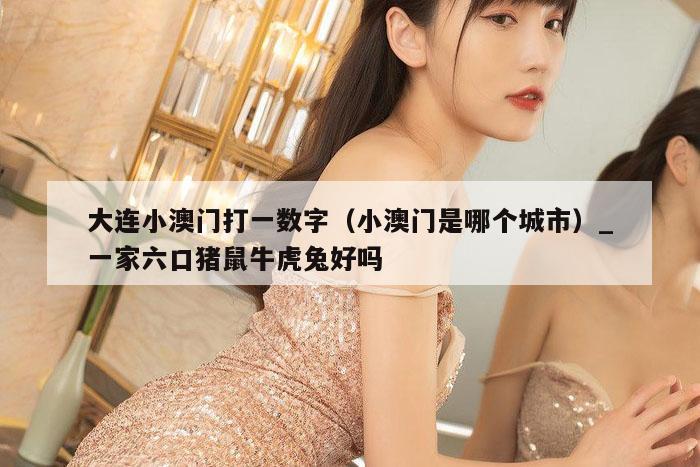 大连小澳门打一数字（小澳门是哪个城市）_一家六口猪鼠牛虎兔好吗